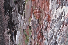 DSC07088